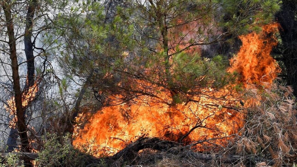 Αρτέμιδα: Πρώτη σύλληψη για εμπρησμό από αμέλεια στην αντιπυρική σεζόν